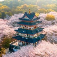 Spring of Jiangsu Flowers Planet - Image 5