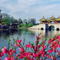 Spring of Jiangsu Flowers Planet - Image 2